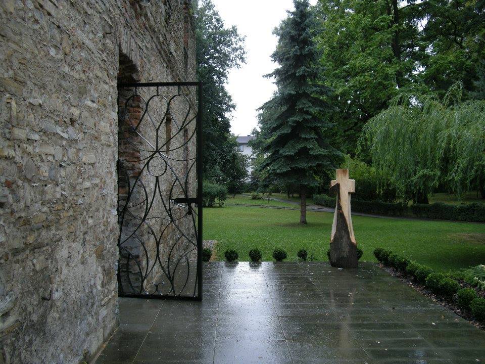 Image 15